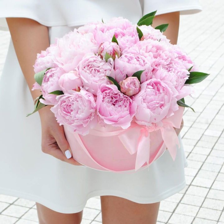 Пионы в шляпной коробке в Братске