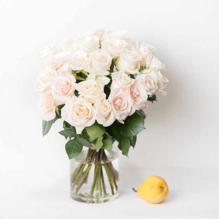 25 кремовых роз в Братске