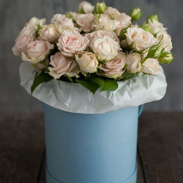 Бокс с бомбастиком в Братске