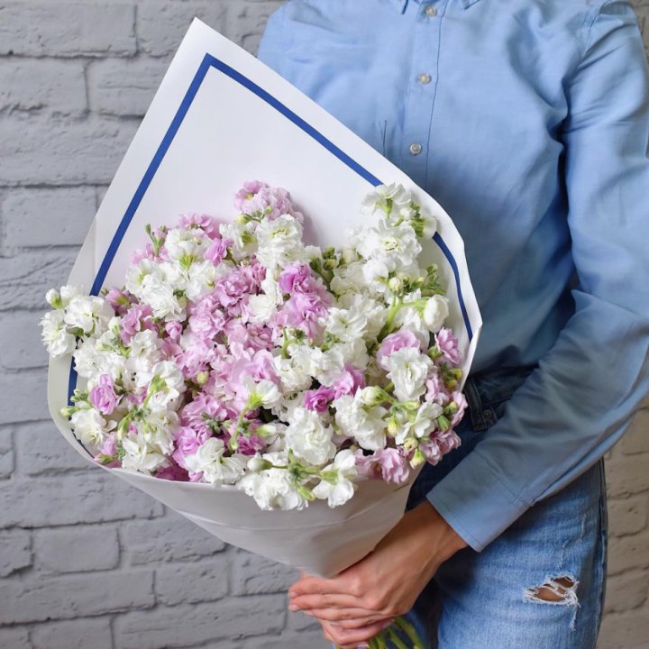 Маттиола в Братске