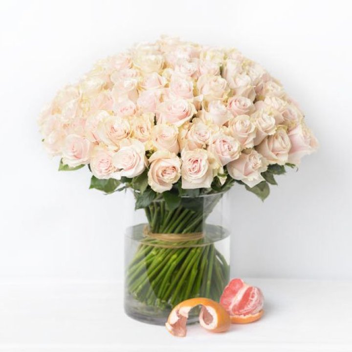 101 кремовая роза в Братске