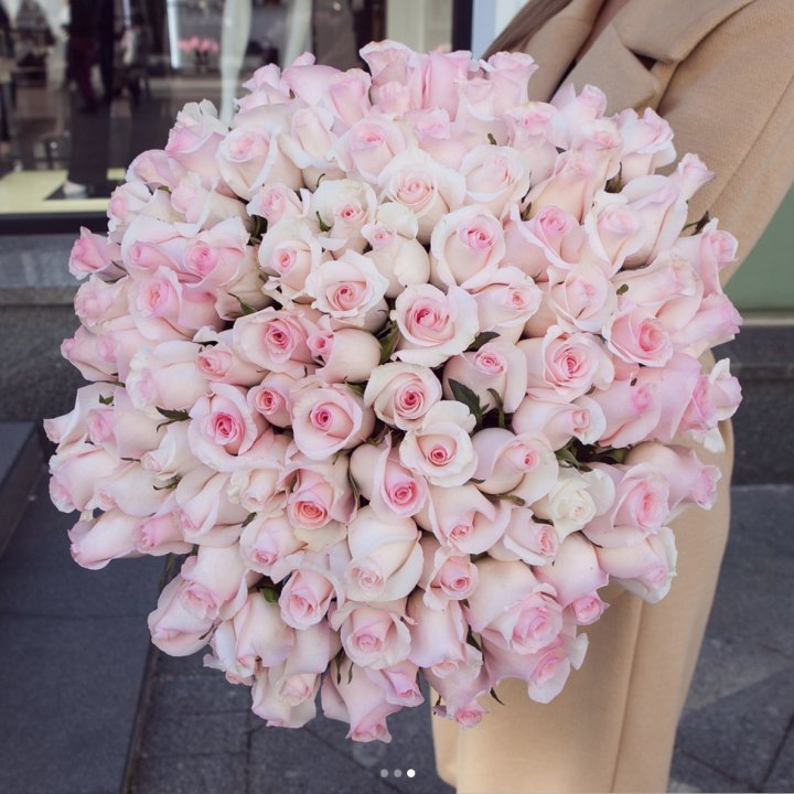 Розы "Пинк бум" в Братске