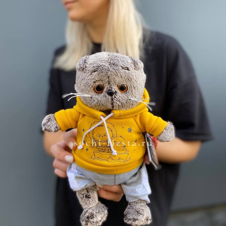 Кот Басик в худи в Братске