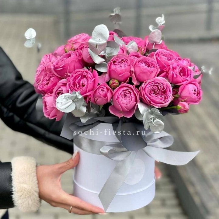 Бокс мисти баблс №2 в Братске