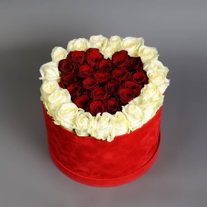 39 красных и белых роз в цилиндре в Братске