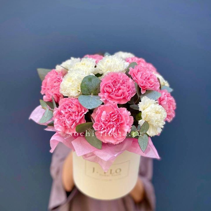 Диантусы в цилиндре в Братске