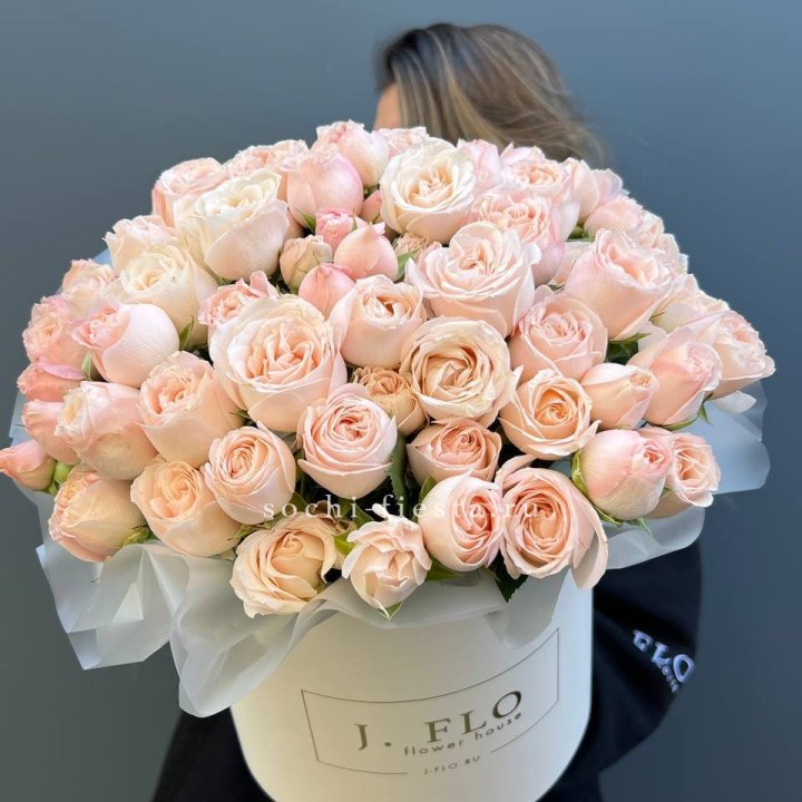 Бомбастик бокс Премьер в Братске