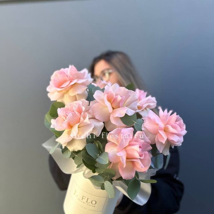 Французские роз в боксе в Братске