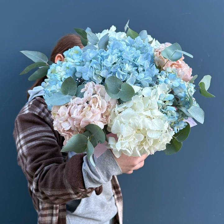 Гортензии в коробочке в Братске