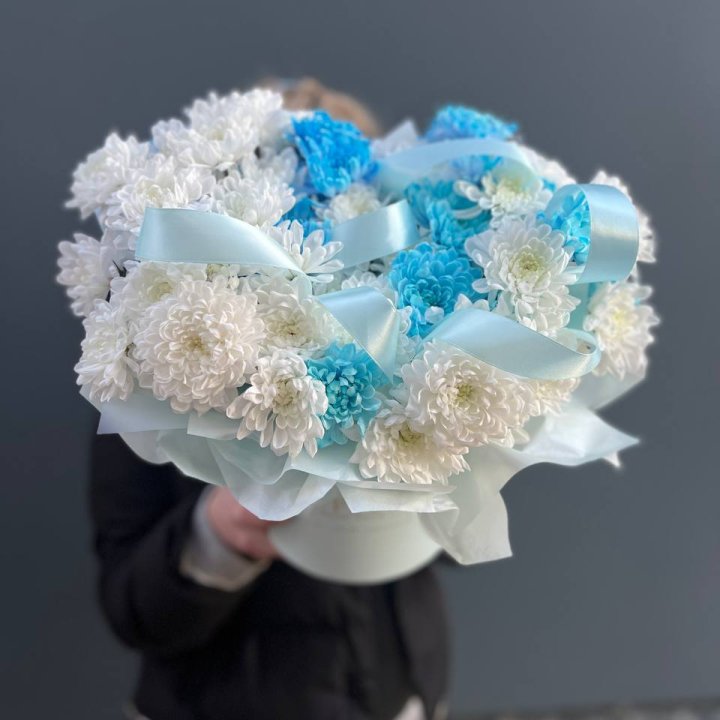 Хризнтемы в боксе в Братске