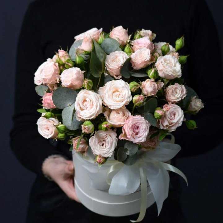 Бомбастик бокс №2 в Братске