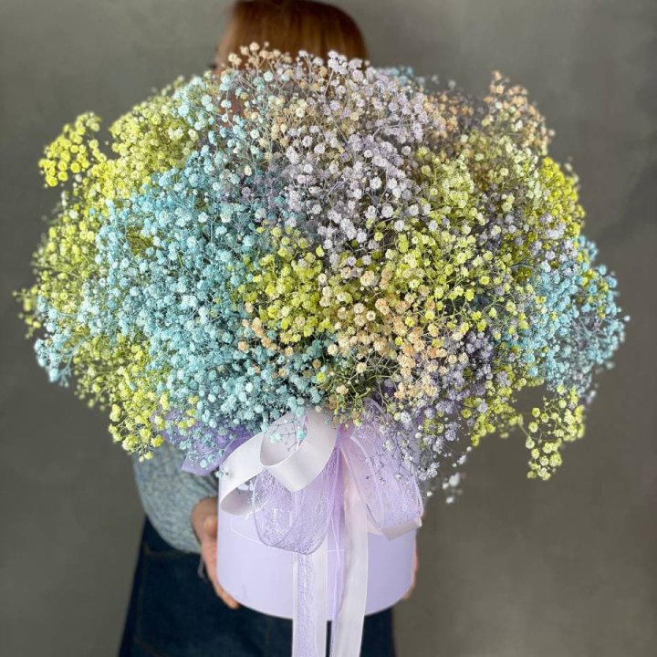 Бокс из гипсафил в Братске