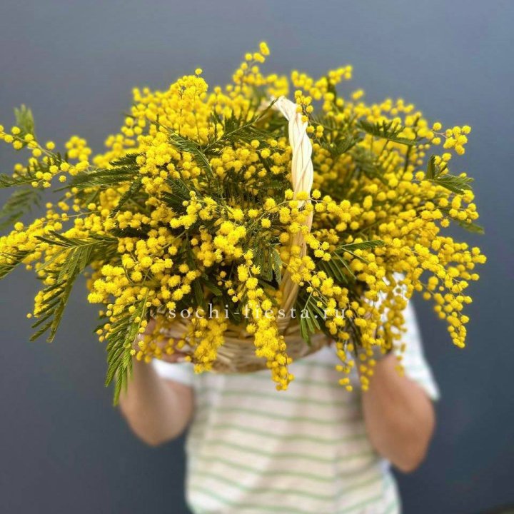 Весенняя корзина мимозы в Братске
