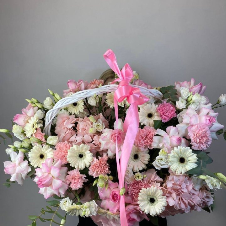 Корзина "Ионита" в Братске