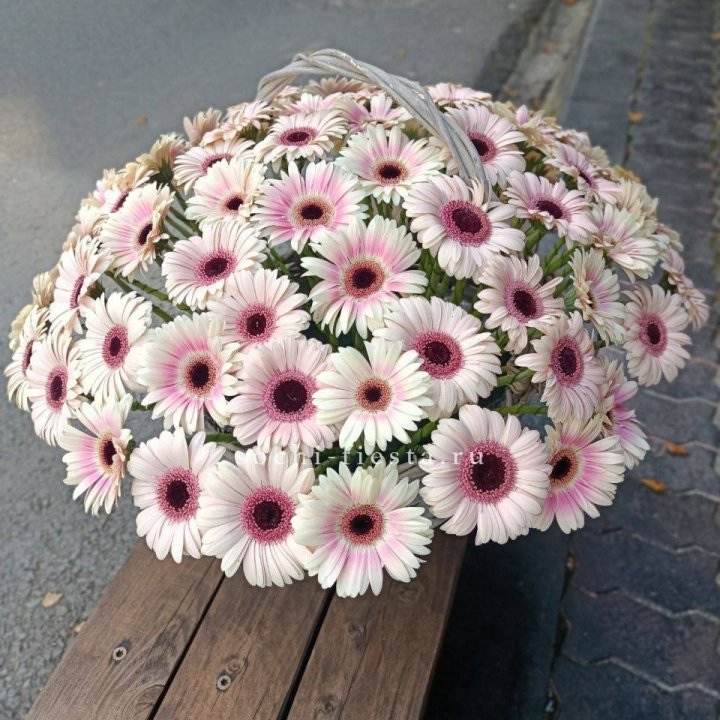 Корзина с герберами  в Братске
