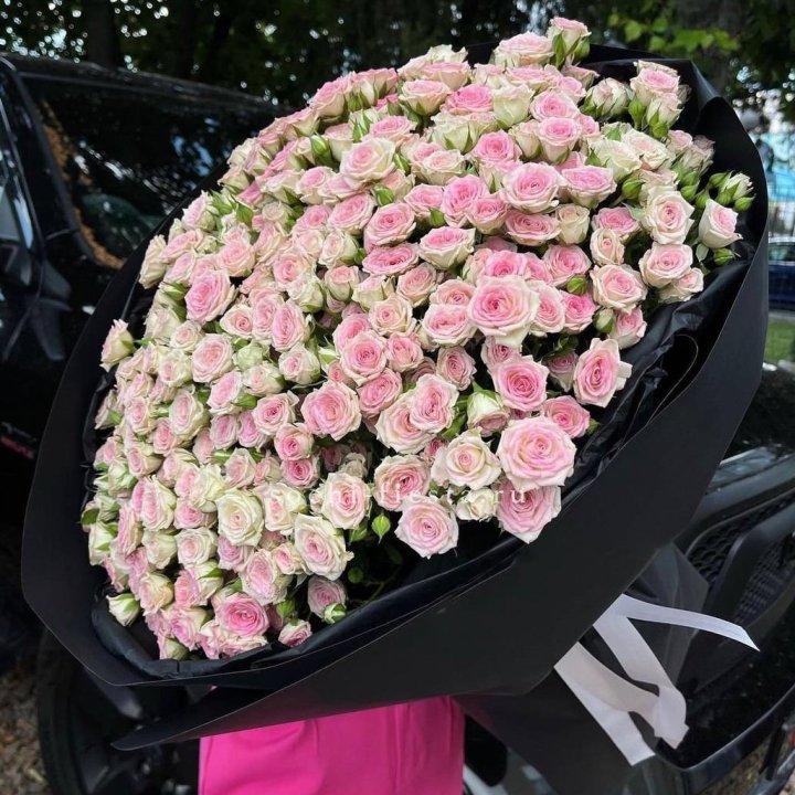 101 кустовая роза "Твистер" в Братске