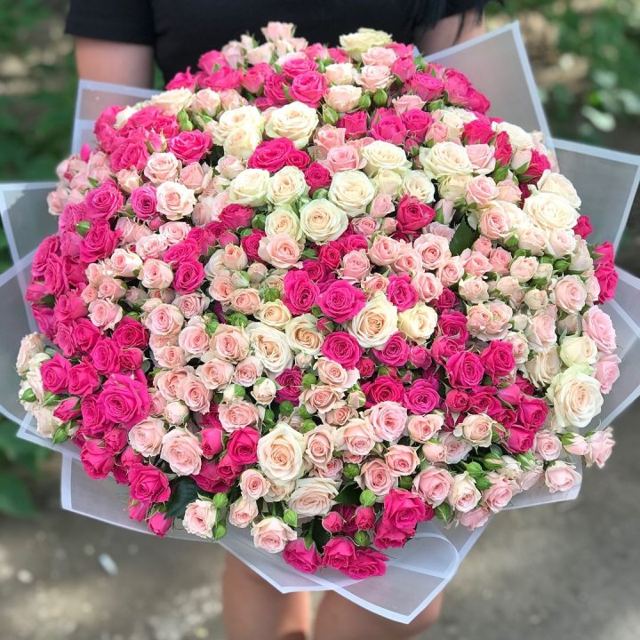 101 кустовая роза в Братске