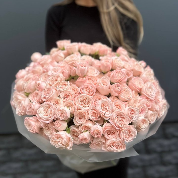 51 кустовая роза Бомбастик в Братске