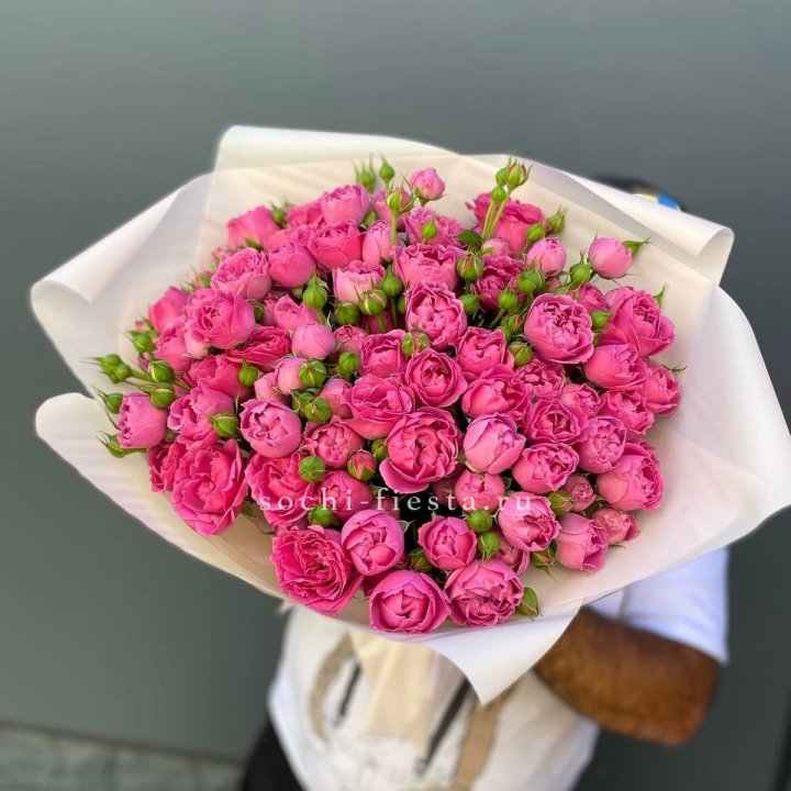 Мисти Баблс 35шт в Братске