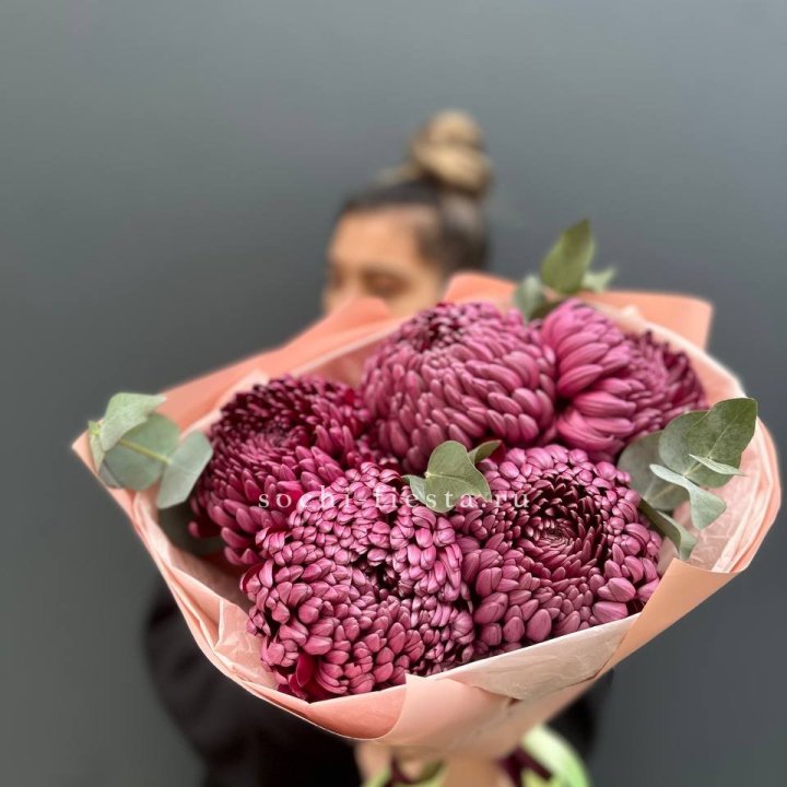 Хризантемы  Бигуди  в Братске