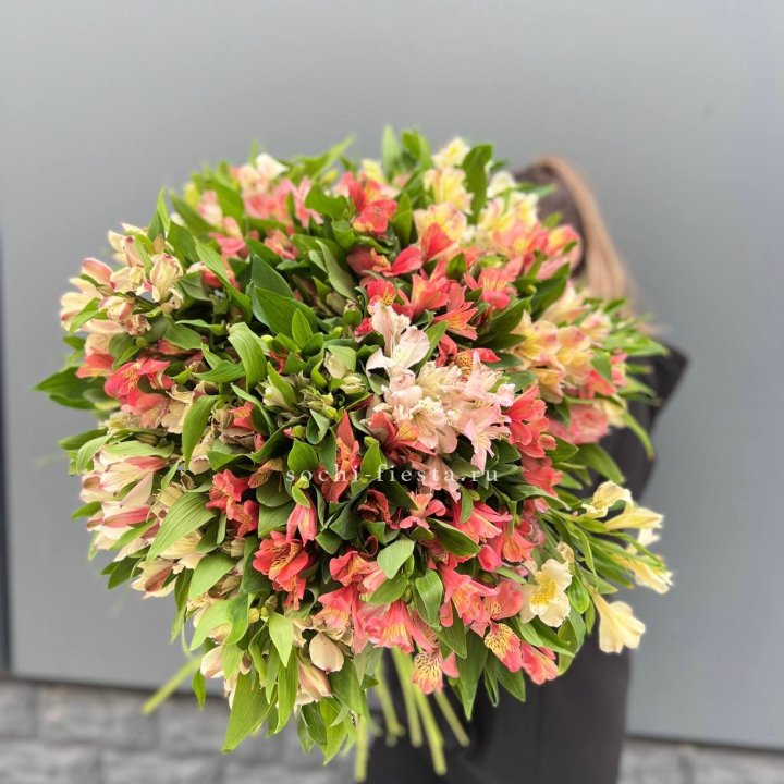 51 альстромерия в Братске