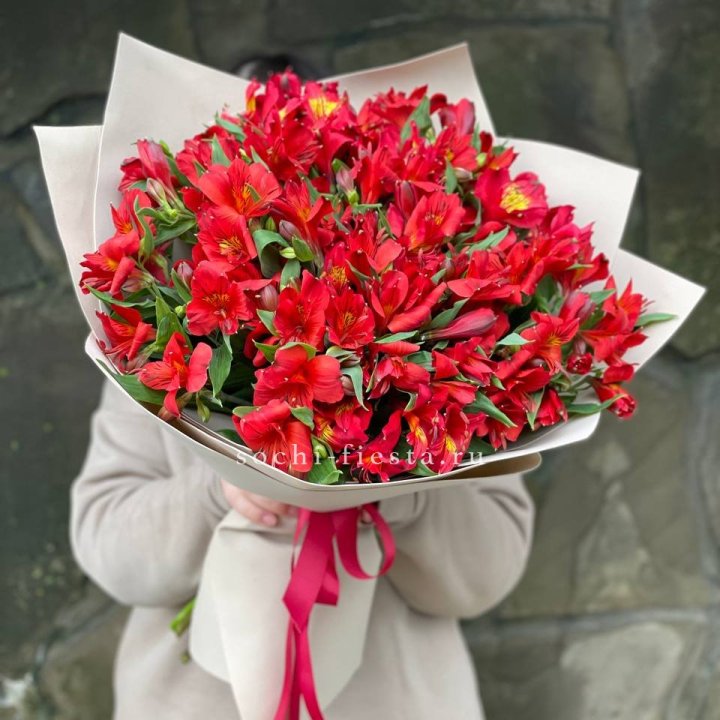 51 альстромерия в Братске