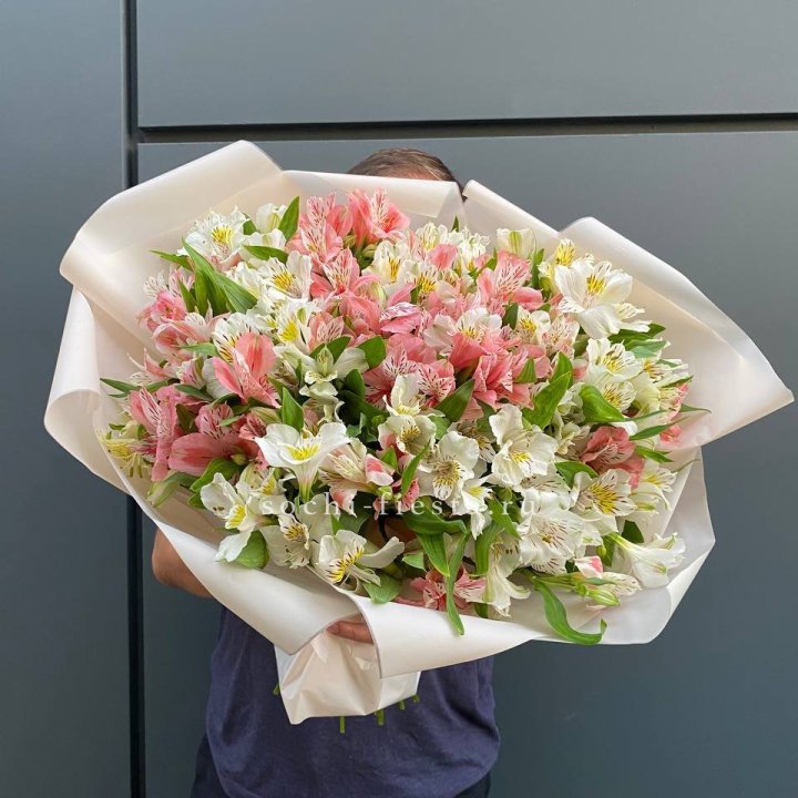 39 альстромерий в Братске