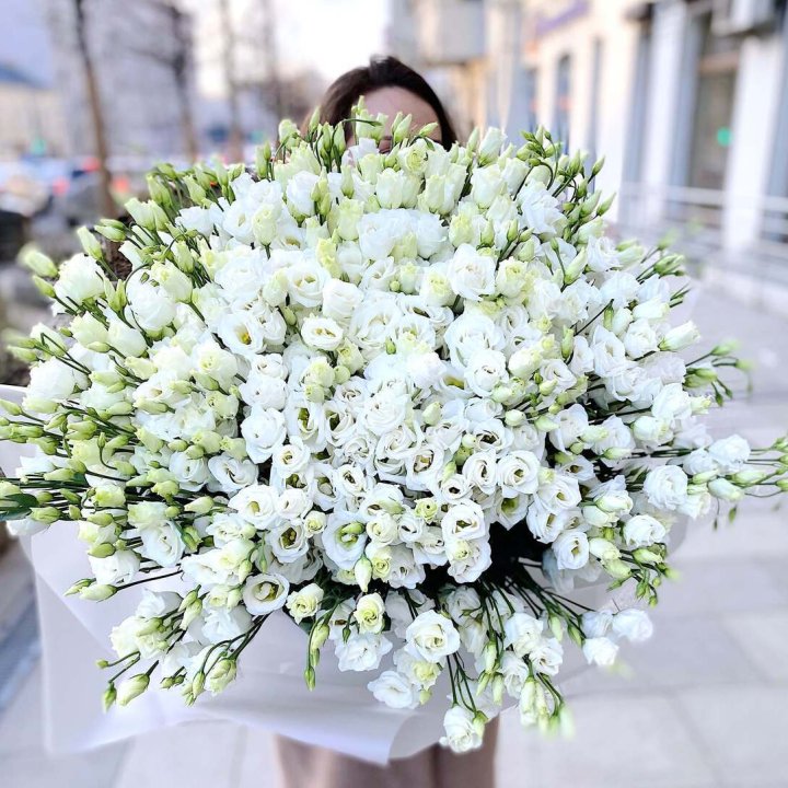 101 белая эустома в Братске