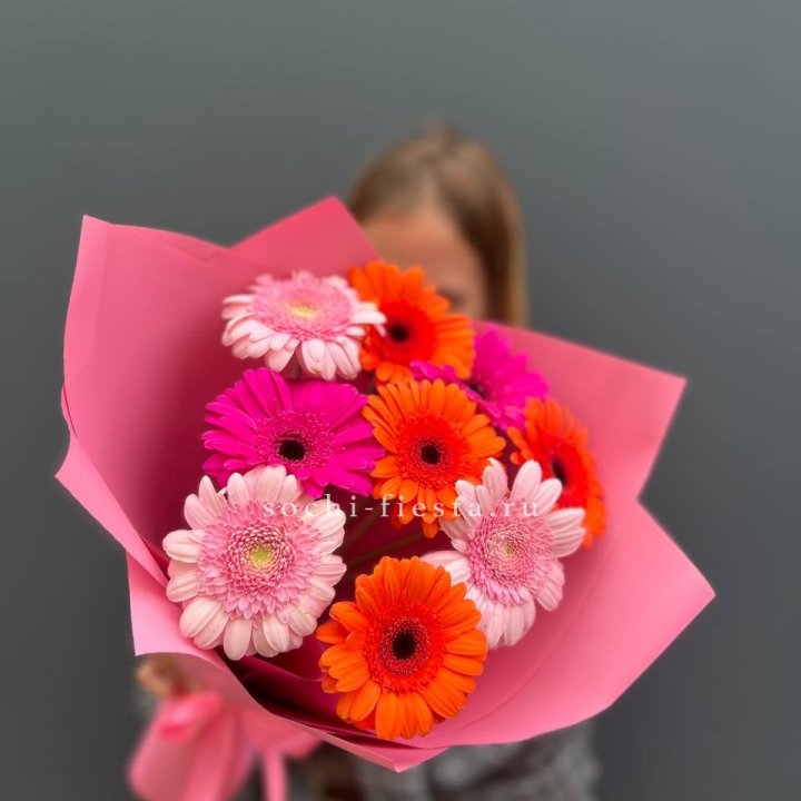 Краски в Братске