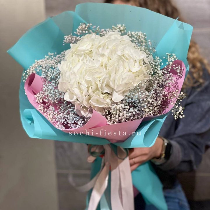 Гортензия "Райдов" в Братске