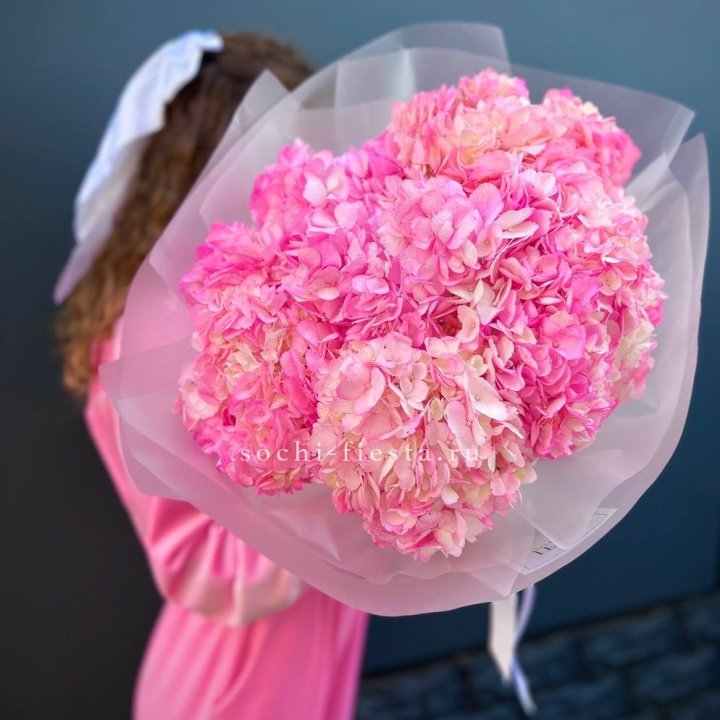 7 ярко розовых гортензий в Братске