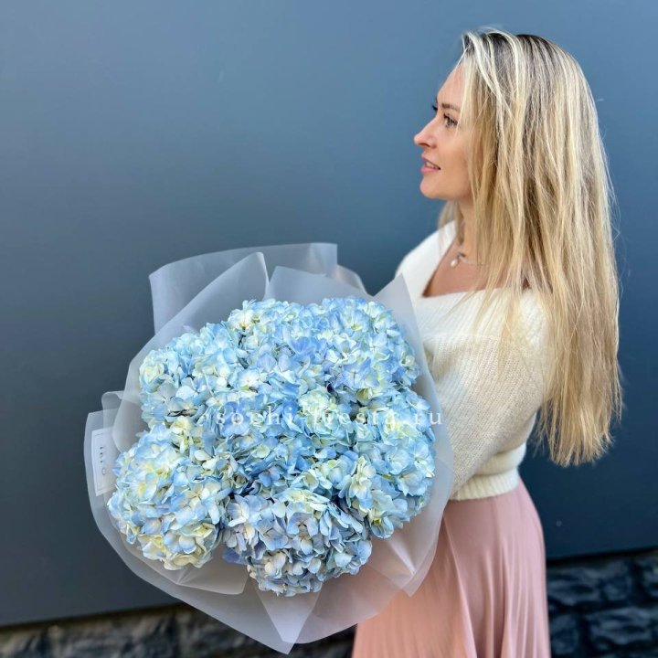 7 голубых гортензий в Братске