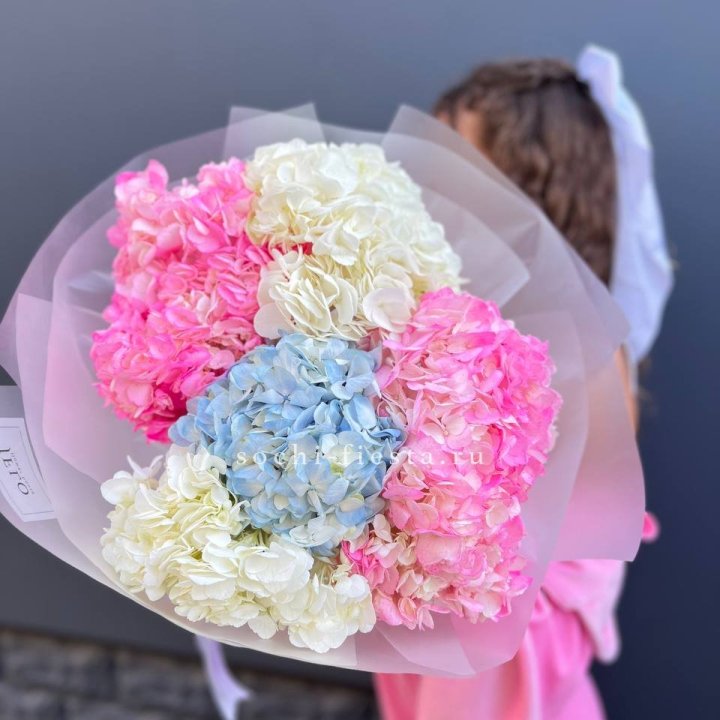 7 гортензий микс в Братске