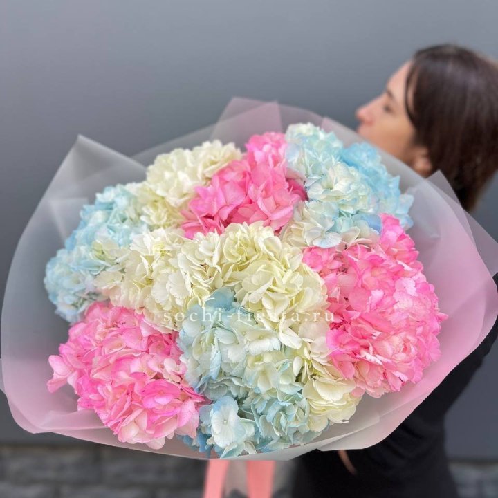 9 гортензий микс в Братске