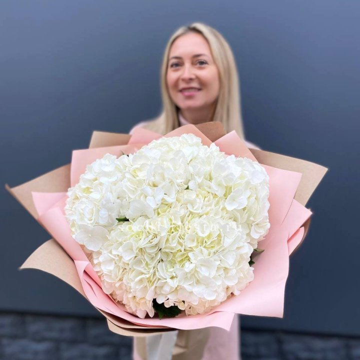 Гортензия белая в Братске