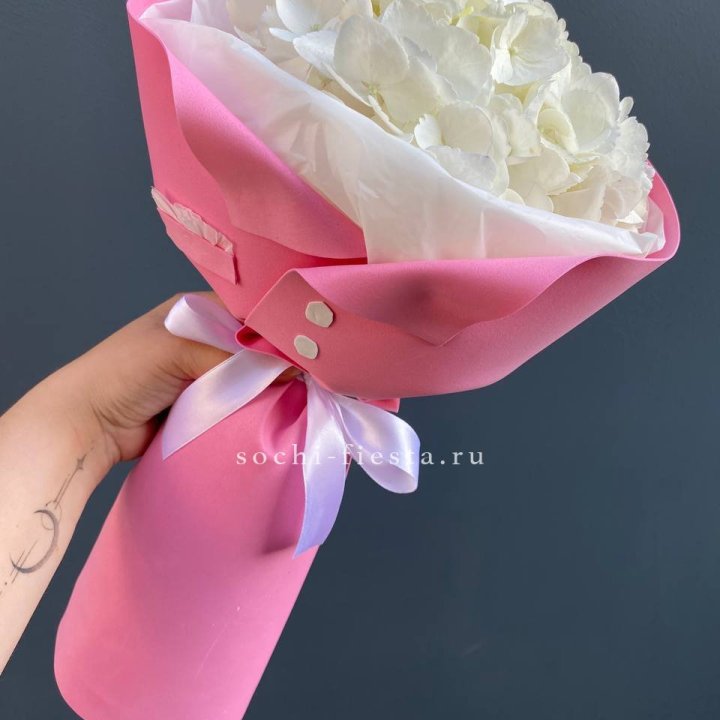 Гортензия в розовом пиджаке в Братске