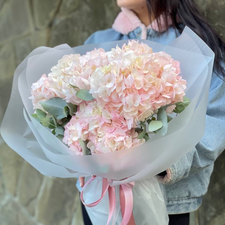 5 розовых гортензий в Братске