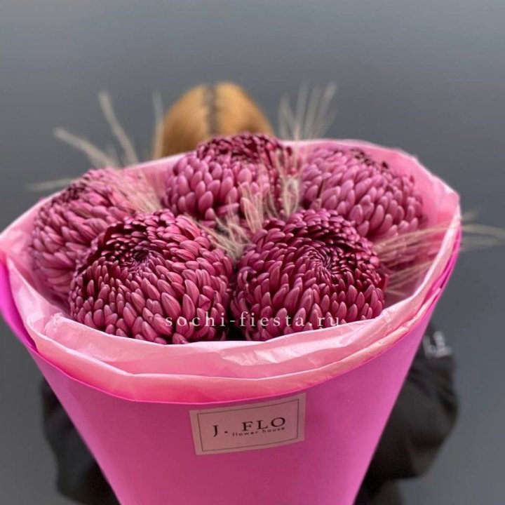 Хризантемы  Бигуди с стифой в Братске