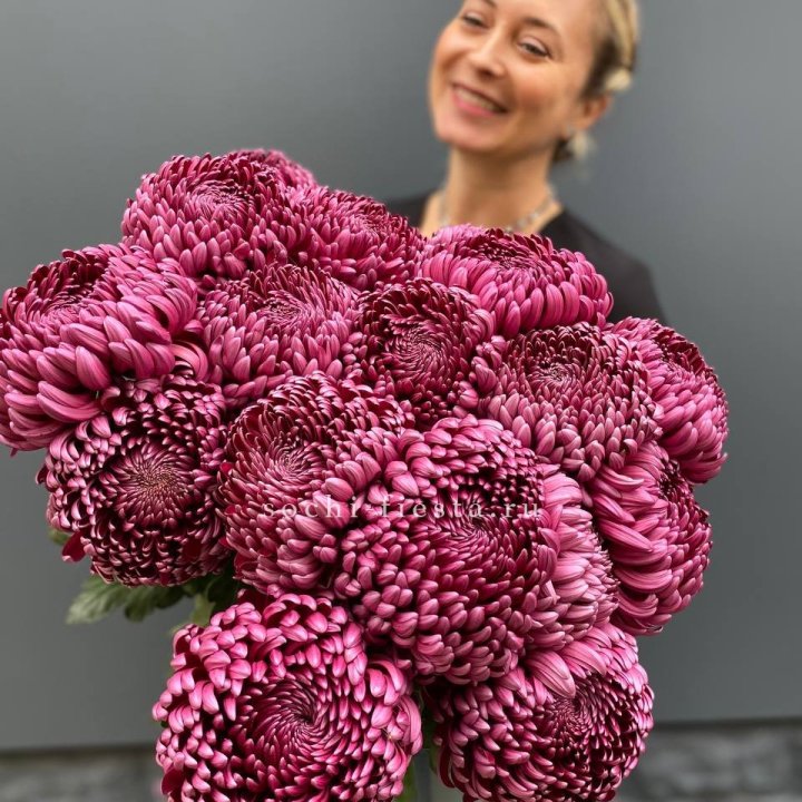 Охапка хризантем Бигуди в Братске