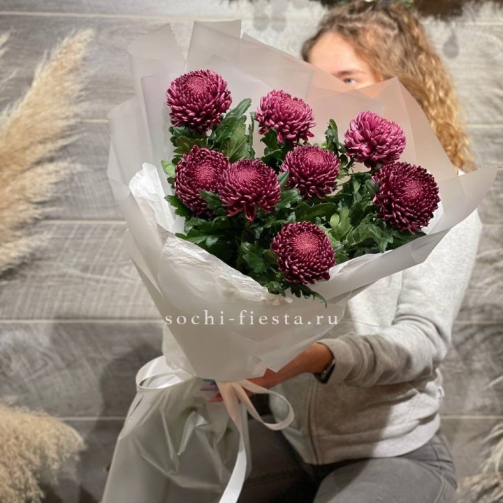 Хризантемы Бигуди в Братске