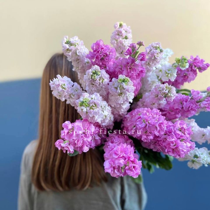 Охапка маттиолы в Братске