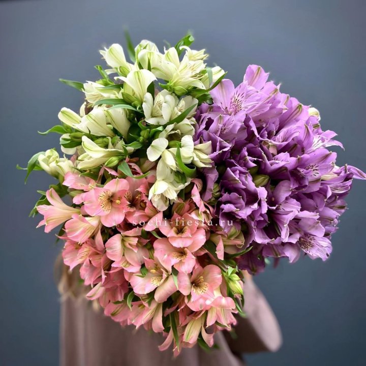 Охапка Альстромерии в Братске