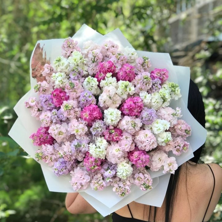 Букет ароматной маттиоллы №3 в Братске