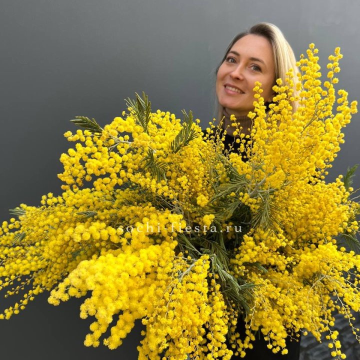 Охапка мимозы №2 в Братске