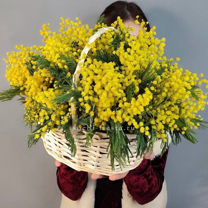 Корзина ароматной мимозы в Братске