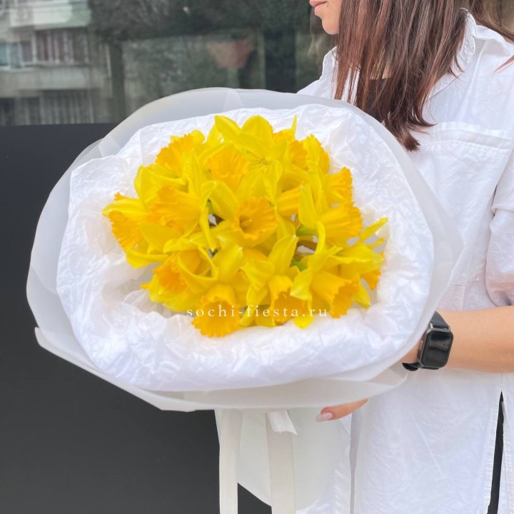 Нарциссы 25 шт в Братске