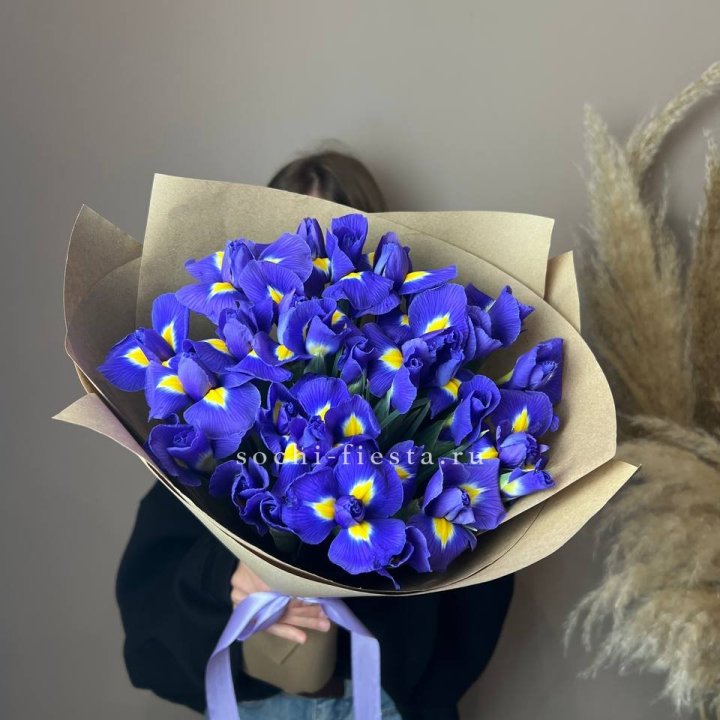 Ирисы в Братске