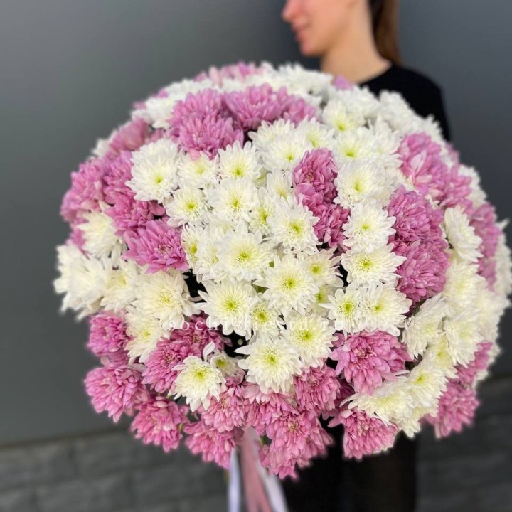  Букет 25 хризантем микс в Братске