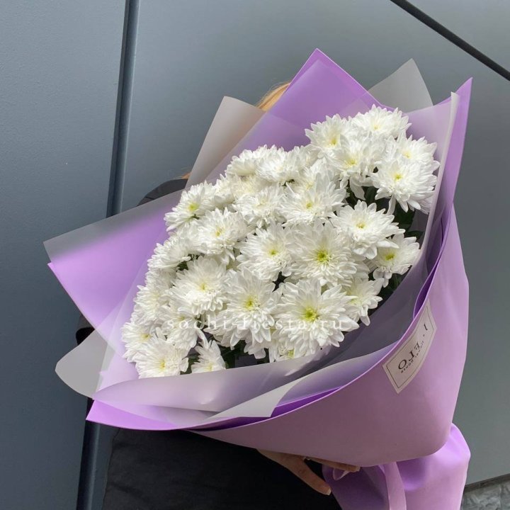  7 хризантем  в Братске