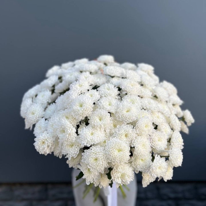  25 хризантем белых в Братске